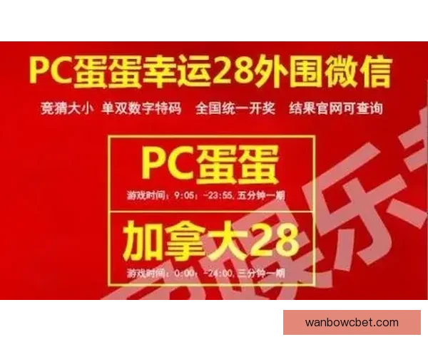 世界杯竞猜投注规则解析与投注技巧分享助您赢得更多奖励